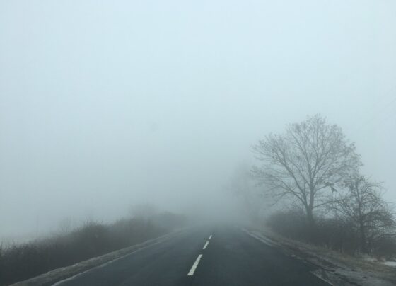 Köd