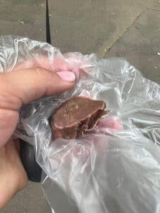 Kutyások figyelem! Valaki szegekkel tömött húsokat dobál el a Tócóskertben
