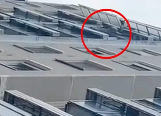 Videón, ahogyan a rendőrök megmentik a 20 méter magasból kiugró férfit