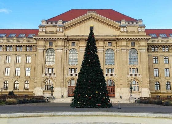 Különleges látvány a hatalmas karácsonyfa a Debreceni Egyetem előtt