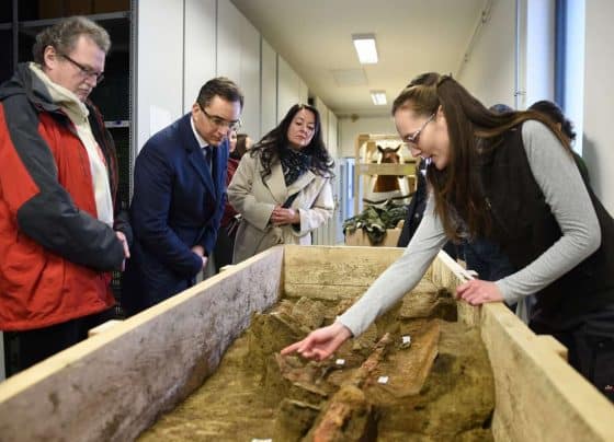 Különleges lamellás páncéljával temették el Rúfuszt