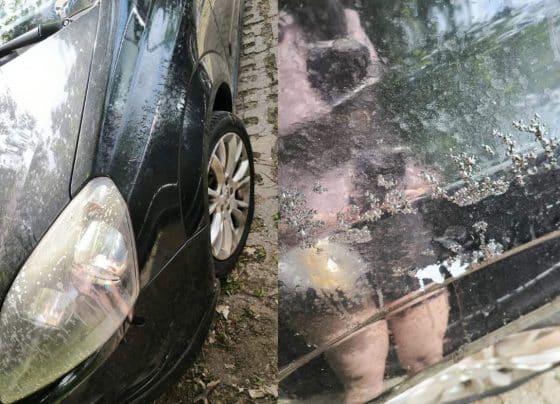 Autókat rongált meg ismeretlen az éjszaka folyamán
